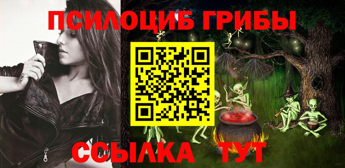 Псилоцибиновые грибы MAGIC MUSHROOMS  закладки  Назрань  Вход с VPN 